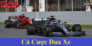 Cá cược đua xe