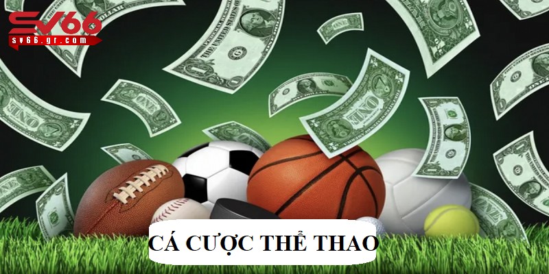 Chia sẻ 5 mẹo cá cược thể thao hiệu quả tại SV66 cho người mới 1 cá cược thể thao